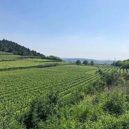 Tenuta Monte Pollicce Affi