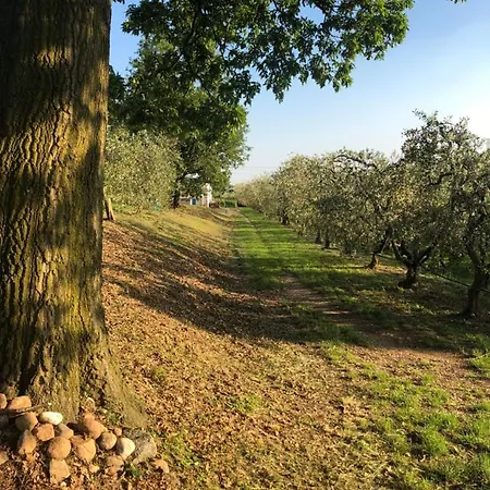 Tenuta Monte Pollicce Affi