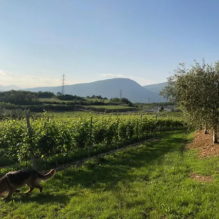 Tenuta Monte Pollicce Apartament *