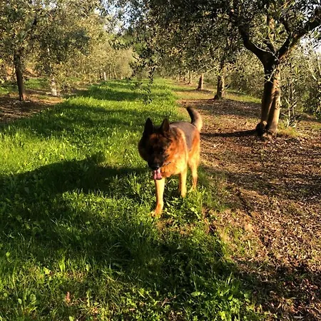 Tenuta Monte Pollicce