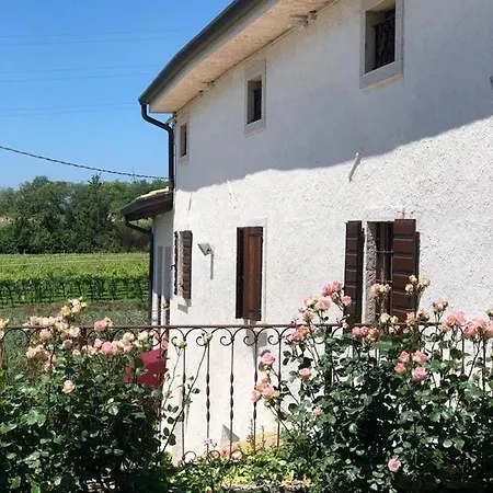 Tenuta Monte Pollicce