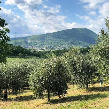 Tenuta Monte Pollicce Apartament *