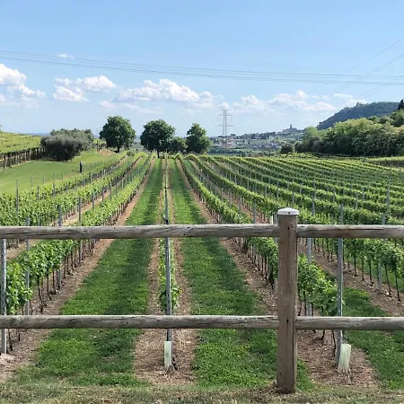 Tenuta Monte Pollicce *