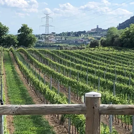 Tenuta Monte Pollicce *